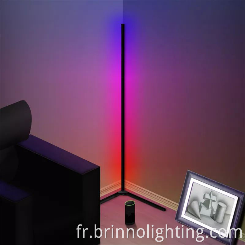 LED Corner Floor Lamp